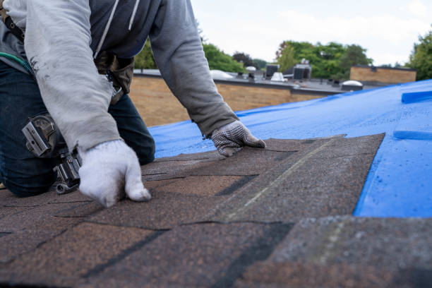 Best Chimney Flashing Repair  in Fort Madison, IA